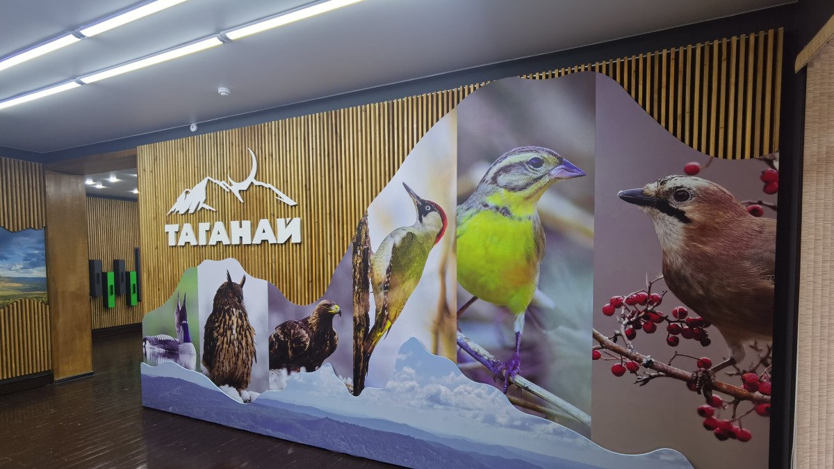 Семибратка